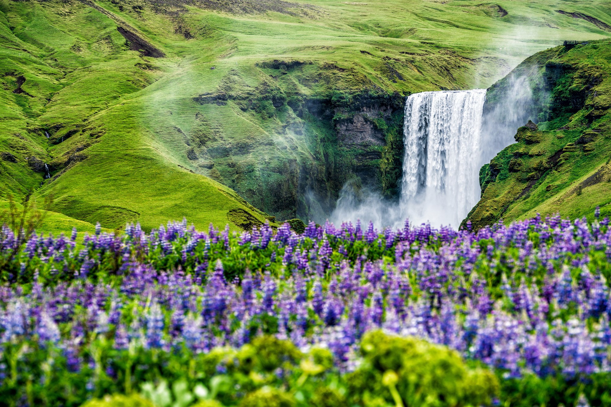 How to Respect Nature in Iceland