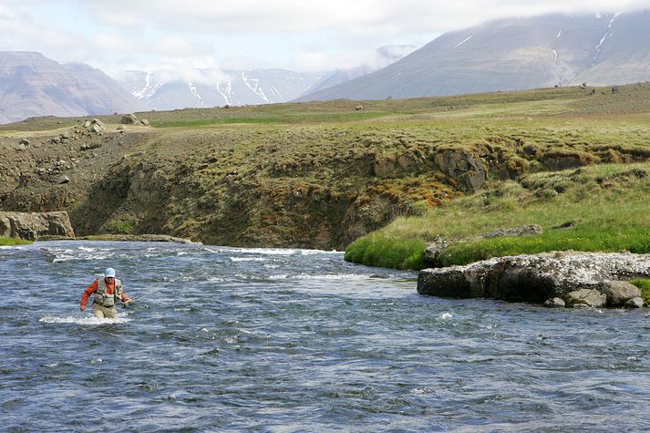 Making the Most of Your Fishing Holiday to Iceland