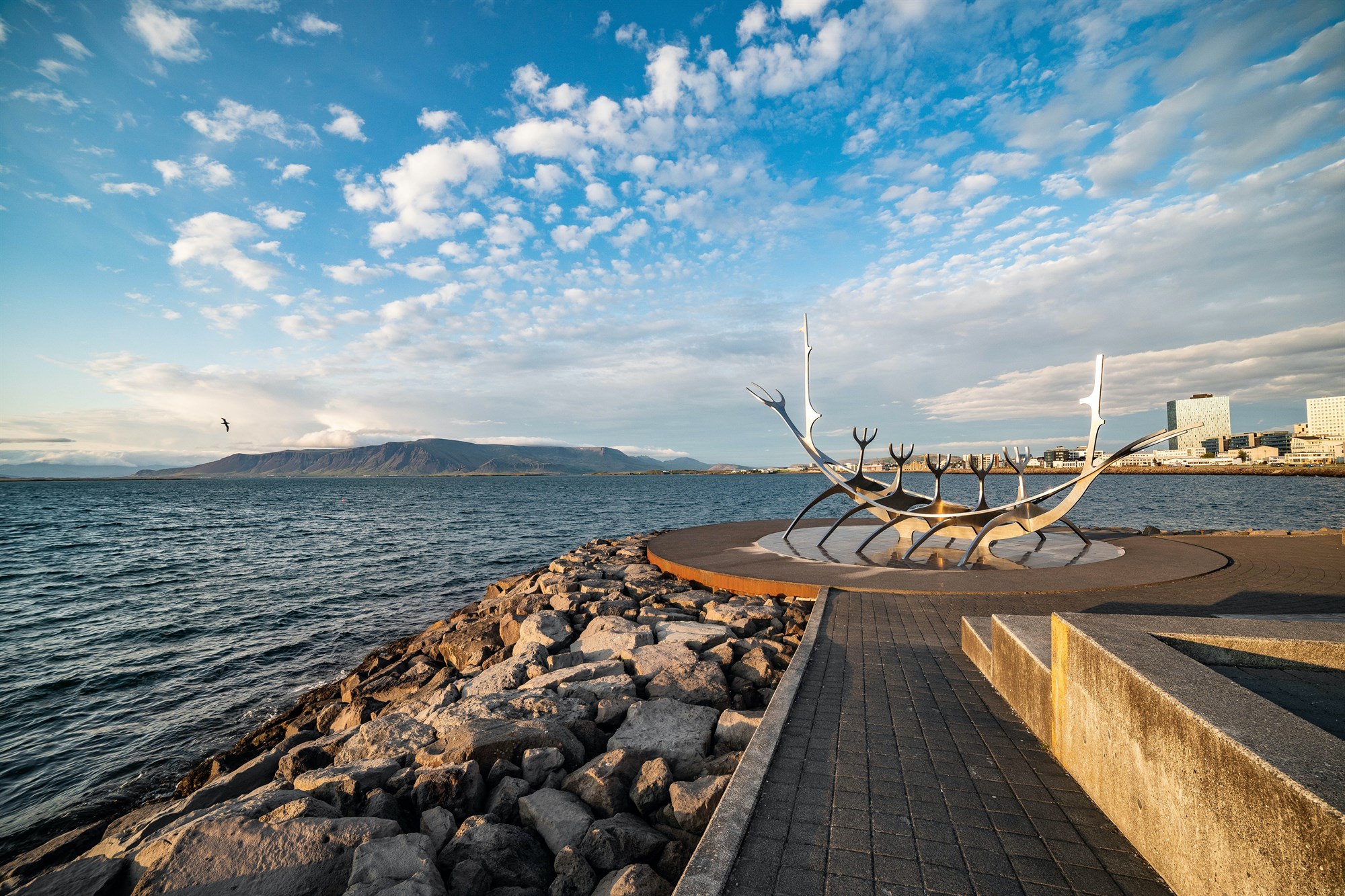 Sightseeing in Reykjavik