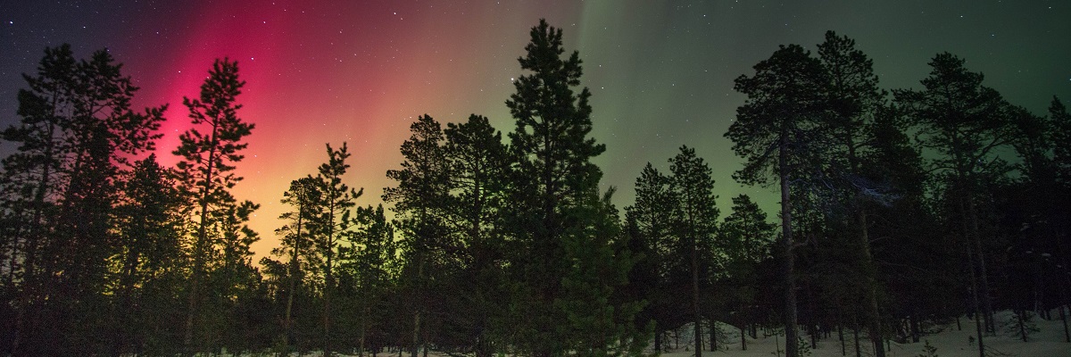 Where to see the Northern Lights in Iceland